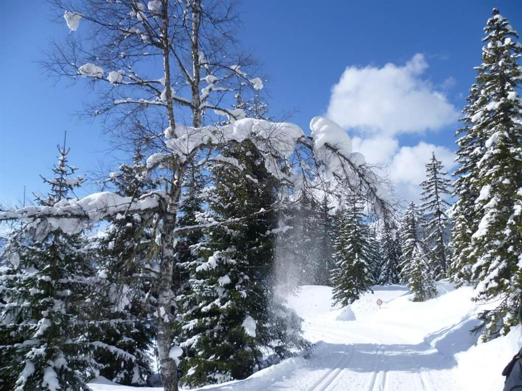 Haus Dagmar Daire Silbertal Dış mekan fotoğraf